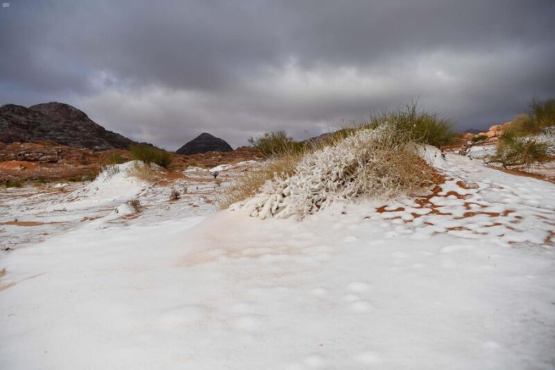 استكشف قرية علقان: كنوز شمال المملكة تنتظرك في هذه الوجهة