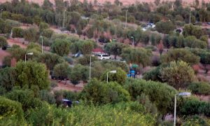منتزه الغضا بعنيزة: وجهة سياحية بيئية لا تفوت في المملكة