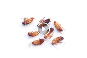 حلول مبتكرة في خدمة العملاء: كيف تبني علاقات دائمة؟