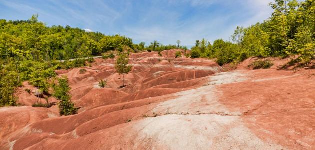 استدامة كوكبنا: فهم أهمية التربة ودورها الحيوي للمستقبل