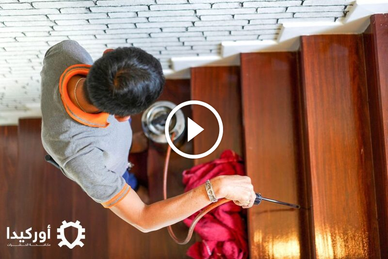 الأرضة: علامات الإصابة وطرق مكافحة الأرضة الفورية