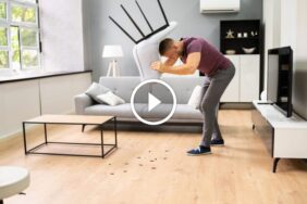 قل وداعًا للآفات: دليل عملي لمكافحة الآفات المنزلية بنجاح