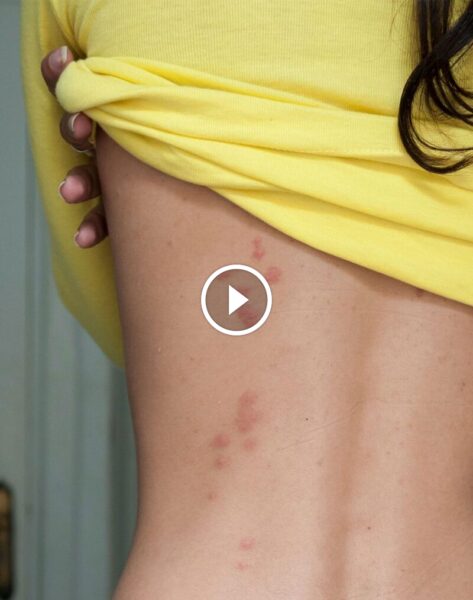 دليل المستهلك: حقوقك في ضمان الرضا التام واسترداد المبالغ للخدمات