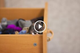 لماذا يعد ضمان رضا العملاء هو مفتاح التميز في الخدمات؟