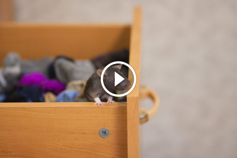 لماذا يعد ضمان رضا العملاء هو مفتاح التميز في الخدمات؟