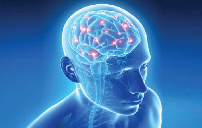 إعادة تشكيل الدماغ والمرونة العصبية: أسس التعلم الحديث