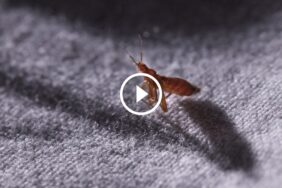 ضمان رضا العملاء: الفلسفة التي تغير وجه الخدمات الحديثة والمستقبلية