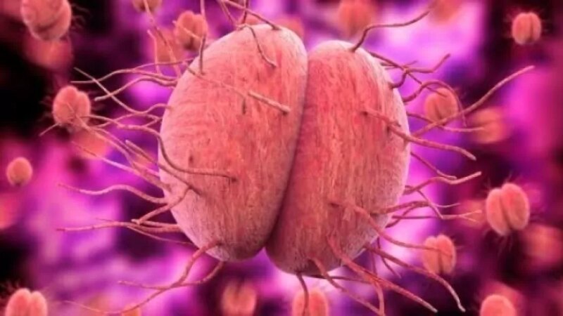 تجنب مضاعفات مرض السيلان: الوقاية أولاً