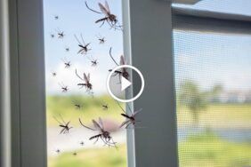 تجربة خالية من المخاطر: ضمان رضا العملاء في كل خدمة