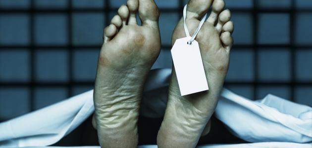 الحقيقة وراء الرؤى: استكشف تفسير الأحلام بالميت الآن