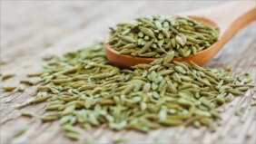 الشمر: اكتشف كيف يدعم هذا العشب صحتك وجمالك