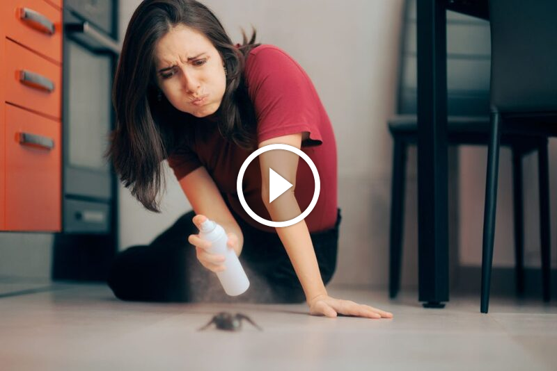 تحقيق التميز التنافسي: دور ضمان رضا العملاء في عالم الأعمال