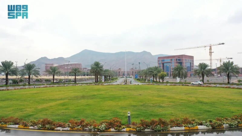 الكشف المبكر عن الأمراض: قصة نجاح وابتكار من جامعة طيبة السعودية