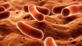 الإيدز: الأعراض، التشخيص، والعلاج – دليل متكامل