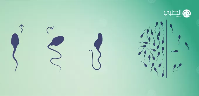 صحة الرجل الإنجابية: أسباب وأعراض ضعف الحيوانات المنوية عند الرجل
