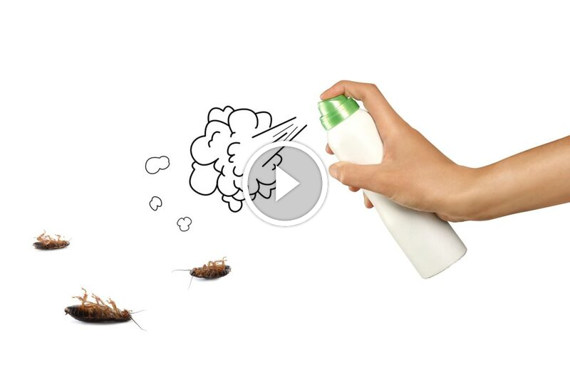 مستقبل العلاقات مع العملاء: دور ضمان الرضا التام