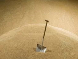 الرمال ليست مجرد حبيبات: تعرف على خصائصها الخفية وقيمتها