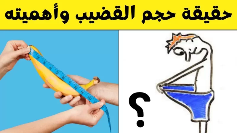 تفكيك خرافات حجم القضيب: حقائق علمية لصحة أفضل