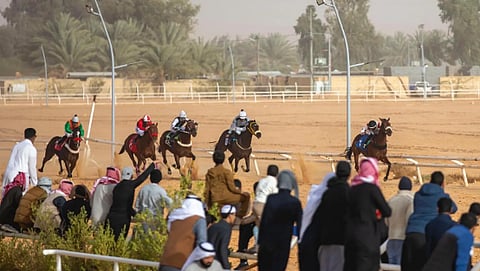 إرث عريق: سباقات الفروسية بالجوف تعزز التراث الأصيل