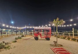 استكشف سحر التراث في فعالية ورق سدرة بحائل الكبرى