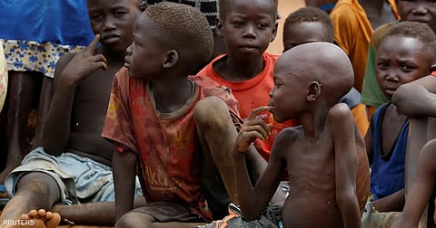 مستقبل الأمن الغذائي في السودان: دعوة للتحرك