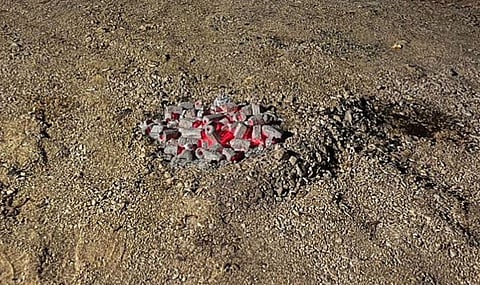 حماية البيئة السعودية: الحفاظ على الحياة الفطرية والطبيعة