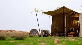 استكشف فياض رفحاء الخضراء في موسم ربيع الحدود الشمالية