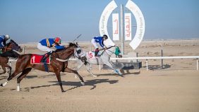 تفاصيل شاملة لسباقات فروسية الجبيل موسم 1447هـ وأشواطها