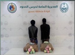 دوريات حرس الحدود: ضربات ناجحة في مكافحة تهريب القات