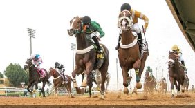 المؤتمر الآسيوي لسباقات الخيل: رؤى قيادية وتطلعات لمسيرة الخيل