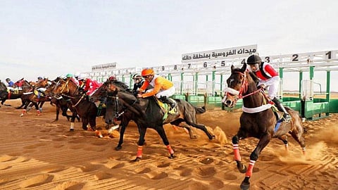 حصاد موسم 2025: سباقات الخيل بحائل وتفاصيل الأشواط