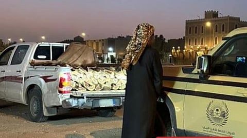 كل ما تحتاج معرفته عن مخالفات نقل الحطب في السعودية وقانون البيئة
