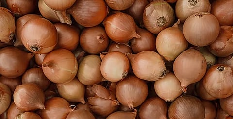 البصل في نظامك الغذائي: فوائد صحية وملاحظات مهمة