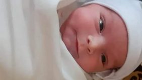 نمو الدماغ الجنيني الهرموني: من التكوين المبكر إلى صحة الدماغ مدى الحياة