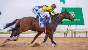 شغف الفروسية: ملخص أقوى الأشواط في سباقات الفروسية بالقصيم