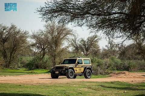 الالتزام البيئي: كيف تدعم الاستدامة البيئية في السعودية جودة الحياة؟