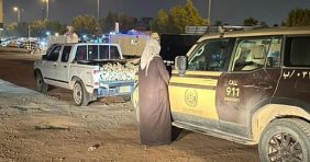 ردع المخالفين: قوانين المملكة لـ **حماية البيئة من الاحتطاب الجائر**