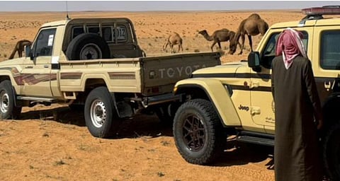 إجراءات حاسمة: حماية البيئة في السعودية والتصدي للتعديات