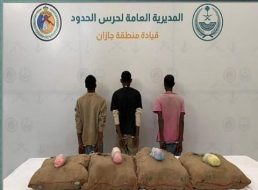 المملكة تتصدى: تحديات ونجاحات مكافحة التهريب في السعودية