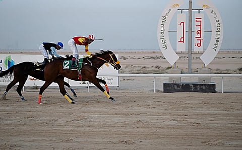 مستقبل الفروسية بعد ختام موسم سباقات الخيل الجبيل 1447هـ