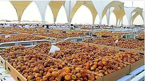 مستقبل تمور الأحساء العالمية: استدامة الازدهار والنمو