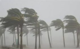 «الأرصاد» ينبه من رياح نشطة على منطقة الحدود الشمالية