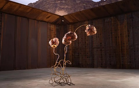 اختتام النسخة الخامسة من مهرجان فنون العُلا 2026 بمشاركة قياسية وتفاعل دولي