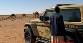 ضبط مقيم من الجنسية السودانية لارتكابه مخالفة رعي في محمية الإمام تركي بن عبدالله الملكية