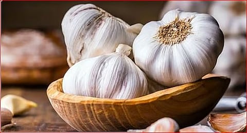 استشاري: تقليل الثوم للجلطات لم يثبت علميا