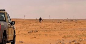 ضبط مواطن لارتكابه مخالفة رعي في محمية الإمام عبدالعزيز بن محمد الملكية