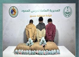 حرس الحدود بعسير يقبض على 3 يمنيين لتهريبهم 60 كيلوجراما من القات المخدر