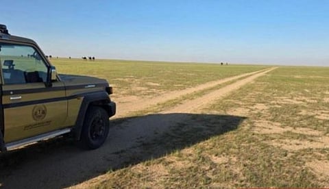 ضبط مواطن لارتكابه مخالفة رعي بمحمية الملك عبدالعزيز الملكية