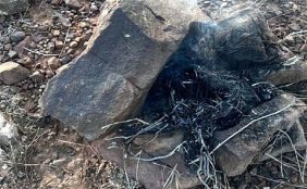 ضبط مخالف لإشعاله النار في غير الأماكن المخصصة بمحمية الإمام فيصل بن تركي الملكية