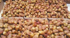 بنحو 584 ألف طن و30 صنفًا.. تمور القصيم تُزيّن موائد رمضان بتنوع وفوائد غذائية